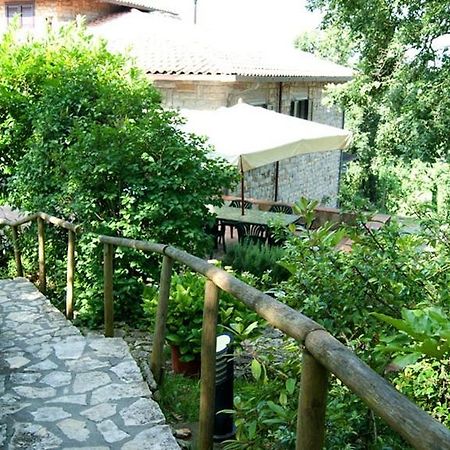 B&B La Roverella Castellina in Chianti Eksteriør billede